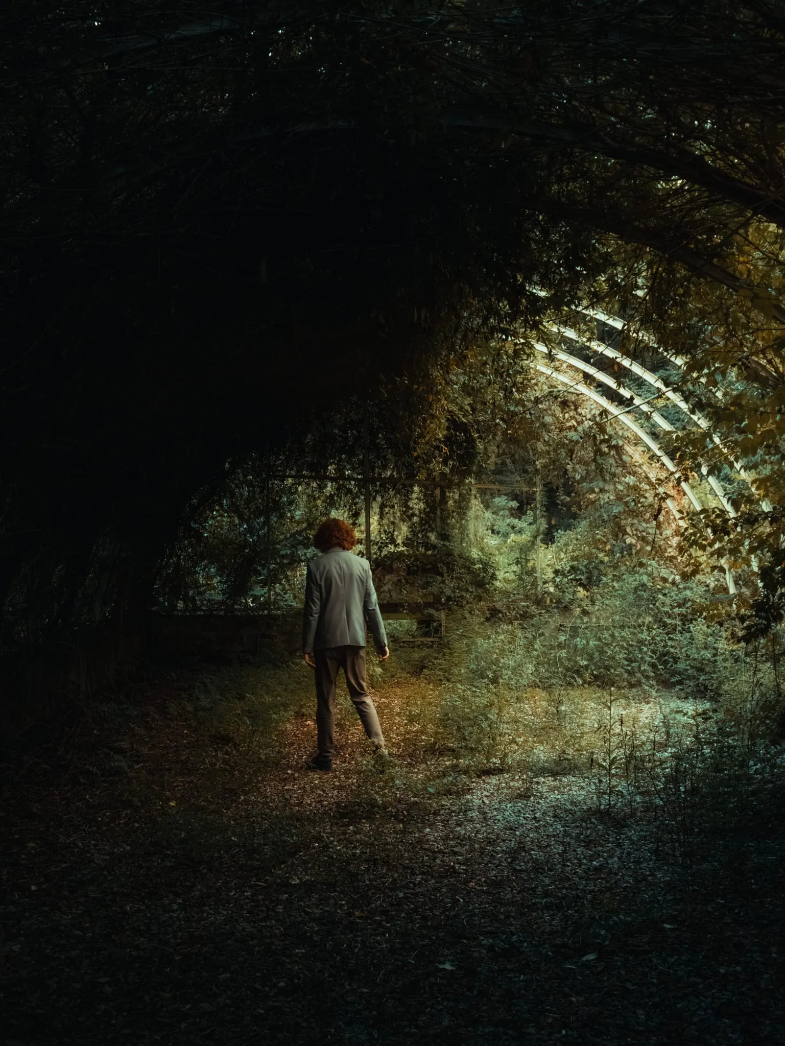 Lone figure in a suit walking through an overgrown glasshouse